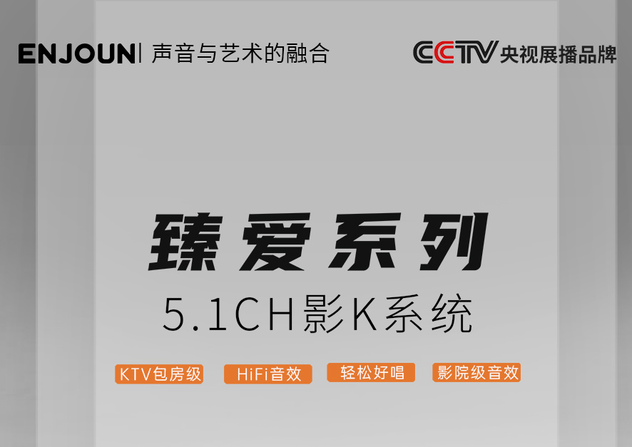 英嘉尼臻爱畅销套餐5.1客厅影K影院音响系统